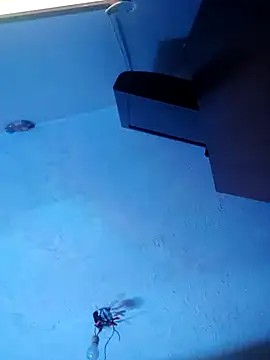 Snapshot of melisa_hot420 chatting on November 2025 08:25:01 AM melisa hot420 online show from November 2025 08:25:01 AM