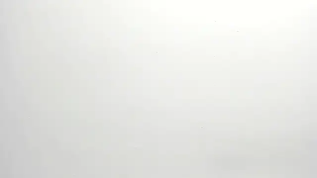 Snapshot of ximena_vasquez8 chatting on December 2025 03:01:02 AM ximena vasquez8 online show from December 2025 03:01:02 AM