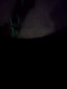 Snapshot of mkallu1995 chatting on February 2026 05:20:01 PM mkallu1995 online show from February 2026 05:20:01 PM