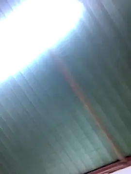 Snapshot of Bin77 chatting on December 2025 02:17:01 AM Bin77 online show from December 2025 02:17:01 AM