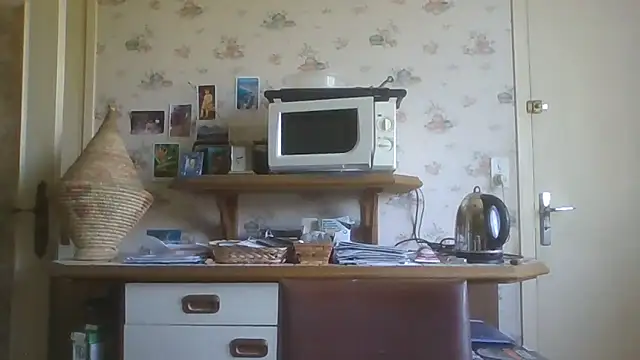 Snapshot of gegevincent chatting on June 2026 10:28:02 AM gegevincent online show from June 2026 10:28:02 AM
