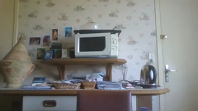 Snapshot of gegevincent chatting on June 2026 11:01:02 AM gegevincent online show from June 2026 11:01:02 AM
