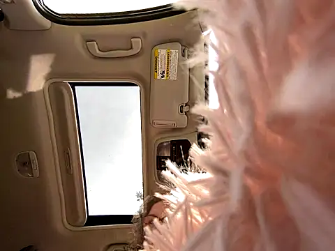 Snapshot of GirlSquirt chatting on September 2025 06:13:02 PM GirlSquirt online show from September 2025 06:13:02 PM