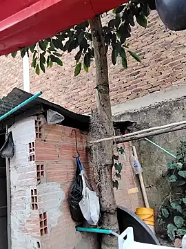 You-sexy-starr online show from October 2025 04:38:02 PM