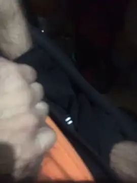 Snapshot of Luigi831 chatting on April 2026 05:12:02 AM Luigi831 online show from April 2026 05:12:02 AM