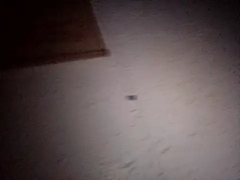 Snapshot of Hottiesophie chatting on April 2026 08:02:01 PM Hottiesophie online show from April 2026 08:02:01 PM