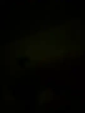 Bogglyyy online show from April 2026 10:27:01 PM