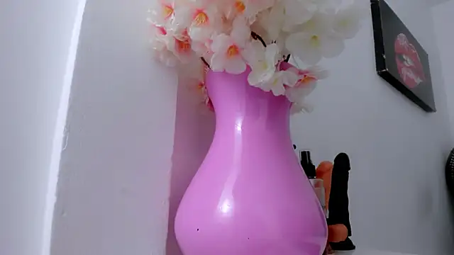 eimy skinny  online show from January 2026 01:04:01 PM