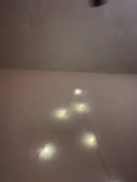 aka big online show from February 2026 06:48:01 PM