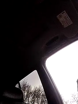 1234locos online show from March 2026 12:38:02 PM