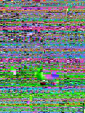 Cute-Sakhi online show from December 2025 02:11:01 PM