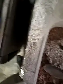 hotbbhot online show from October 2025 04:52:02 PM