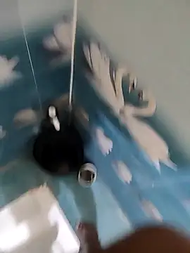 Telugu person12 online show from November 2025 04:51:01 PM