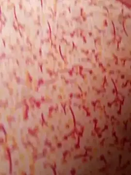 Snapshot of aunty_sumy chatting on November 2025 04:37:01 AM aunty sumy online show from November 2025 04:37:01 AM