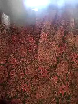 Snapshot of aunty_sumy chatting on February 2026 04:07:01 AM aunty sumy online show from February 2026 04:07:01 AM