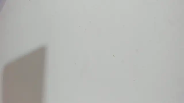 Sophia Ebony online show from May 2026 12:12:02 PM