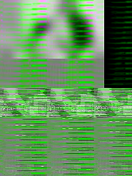 Snapshot of Paugrosso1764 chatting on November 2025 03:34:01 PM Paugrosso1764 online show from November 2025 03:34:01 PM