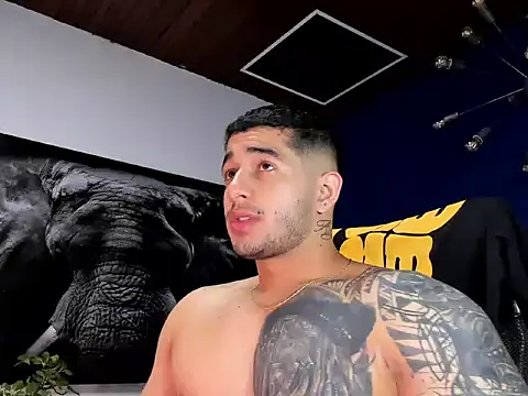 king falconer online show from January 2026 02:16:01 AM