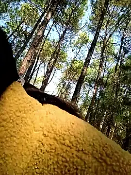 Snapshot of chengcheng12 chatting on November 2025 01:38:01 AM chengcheng12 online show from November 2025 01:38:01 AM