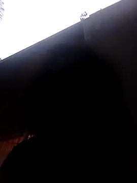 RFeltomWhitJ online show from November 2025 04:40:01 PM