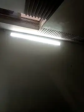 Teffy chell online show from March 2026 01:39:01 PM