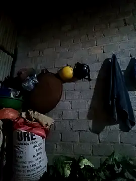 jienrrr online show from February 2026 11:30:01 AM