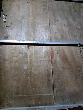 yoowwmr online show from October 2025 12:48:02 PM