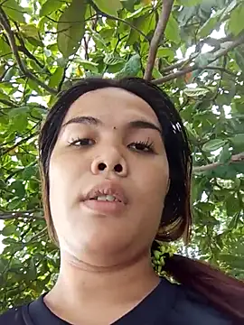yolly fox online show from July 2026 06:50:02 AM