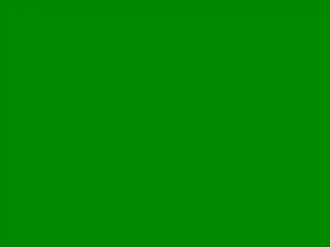 Ricaliciuos online show from May 2026 11:10:01 PM