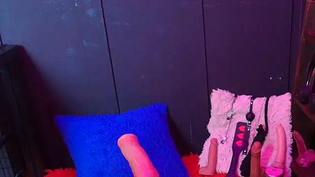 Meghan storm online show from November 2025 02:27:02 PM