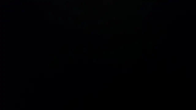 bossking017 online show from February 2026 04:03:02 PM