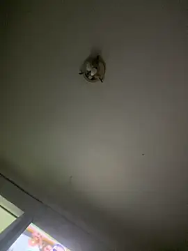 Snapshot of Isabelaa_ chatting on March 2026 03:28:01 AM Isabelaa online show from March 2026 03:28:01 AM