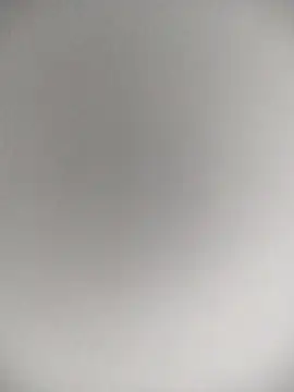 paulo220wats online show from February 2026 04:46:02 AM