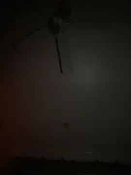 ChristianN8923 online show from March 2026 05:55:02 AM