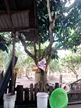 Snapshot of BigBoobs186 chatting on October 2025 03:09:02 AM BigBoobs186 online show from October 2025 03:09:02 AM