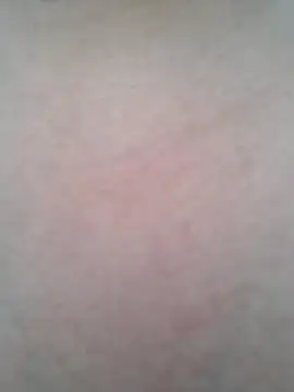 Snapshot of BigBoobs186 chatting on October 2025 01:28:02 AM BigBoobs186 online show from October 2025 01:28:02 AM