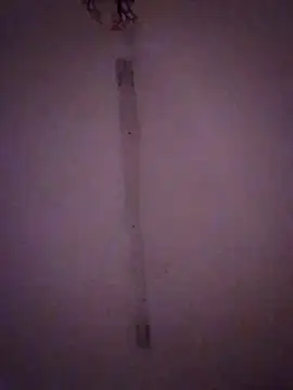 Snapshot of Bebita-zmp chatting on March 2026 02:11:01 AM Bebita-zmp online show from March 2026 02:11:01 AM