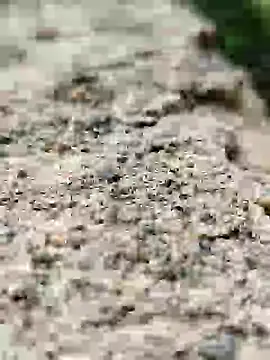 Snapshot of Girls_pussy_rider chatting on September 2025 01:49:01 AM Girls pussy rider online show from September 2025 01:49:01 AM