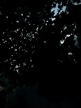 Snapshot of Girls_pussy_rider chatting on November 2025 12:38:01 PM Girls pussy rider online show from November 2025 12:38:01 PM