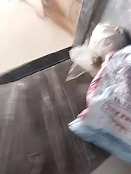 Wet BunnyFun online show from February 2026 10:03:02 AM