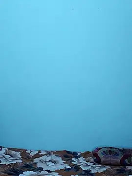 Snapshot of sneha_bebo chatting on January 2026 02:54:02 PM sneha bebo online show from January 2026 02:54:02 PM