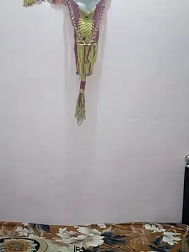 Snapshot of sneha_bebo chatting on February 2026 03:56:02 PM sneha bebo online show from February 2026 03:56:02 PM