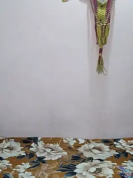 sneha bebo online show from March 2026 03:15:02 PM