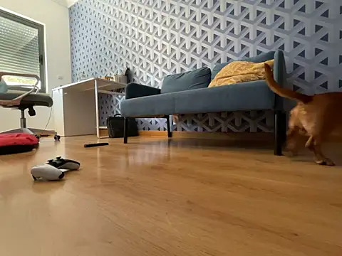 Snapshot of cumman789860 chatting on October 2025 02:35:02 PM cumman789860 online show from October 2025 02:35:02 PM