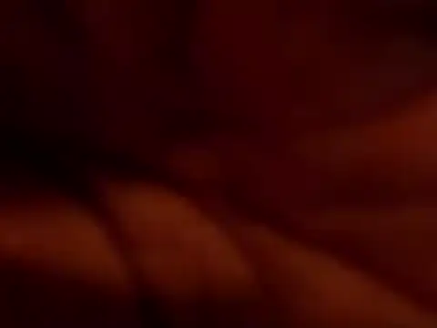 Snapshot of TRANSPORNIDOL chatting on November 2025 07:24:02 PM TRANSPORNIDOL online show from November 2025 07:24:02 PM