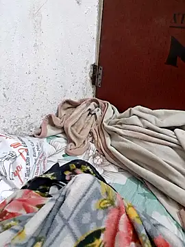 Kittu-rani66 online show from February 2026 11:20:01 AM