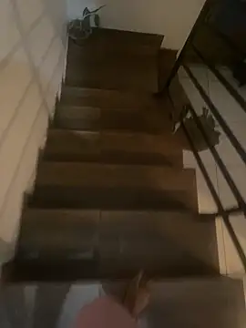 pretalst online show from November 2025 07:52:02 AM