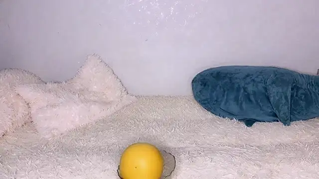 LustRaiderz1 online show from October 2025 01:56:01 PM