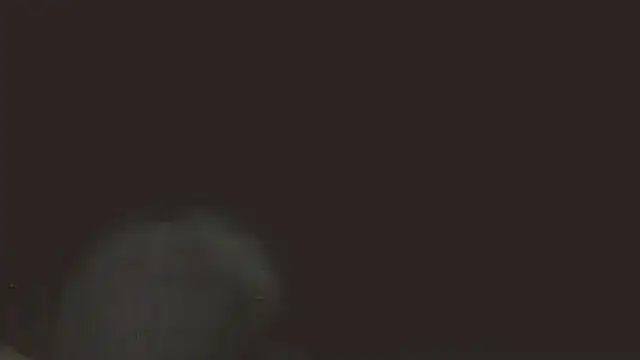 pietje1991 online show from May 2026 11:36:01 PM