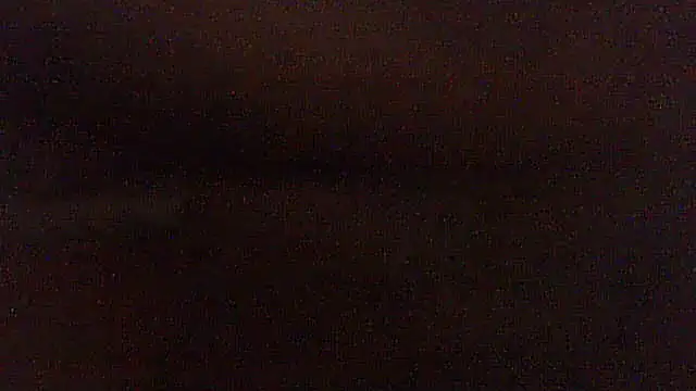 pietje1991 online show from May 2026 06:06:01 PM